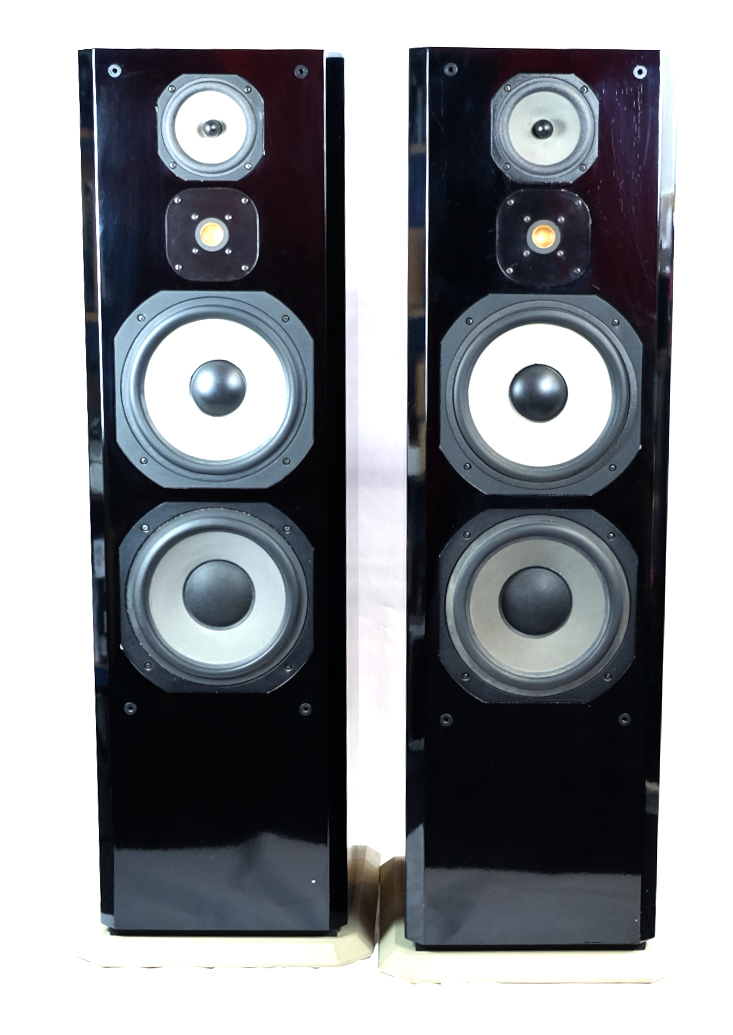 Focal Evolution - Gebraucht